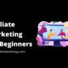 Affiliate Marketing For Beginners in 2023 (Ranking)