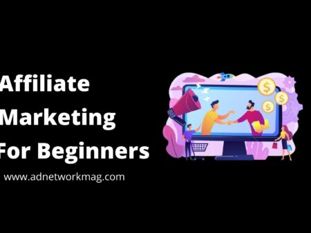 Affiliate Marketing For Beginners in 2023 (Ranking)
