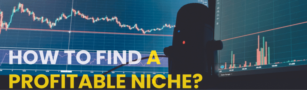 How to find a profitable niche By AdNetworkMag in 2022